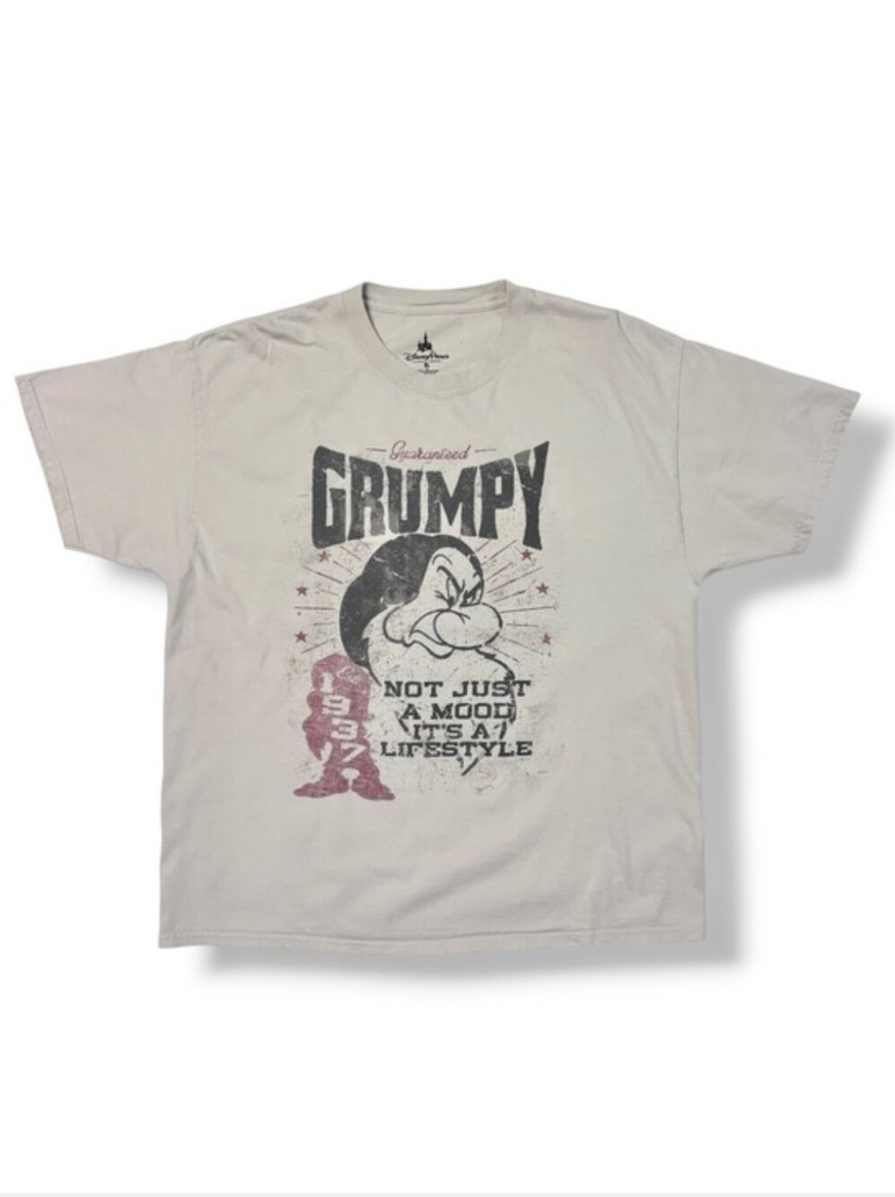 DISNEY PARKS Grey Graphic Tee Size XL “Guaranteed Grumpy”